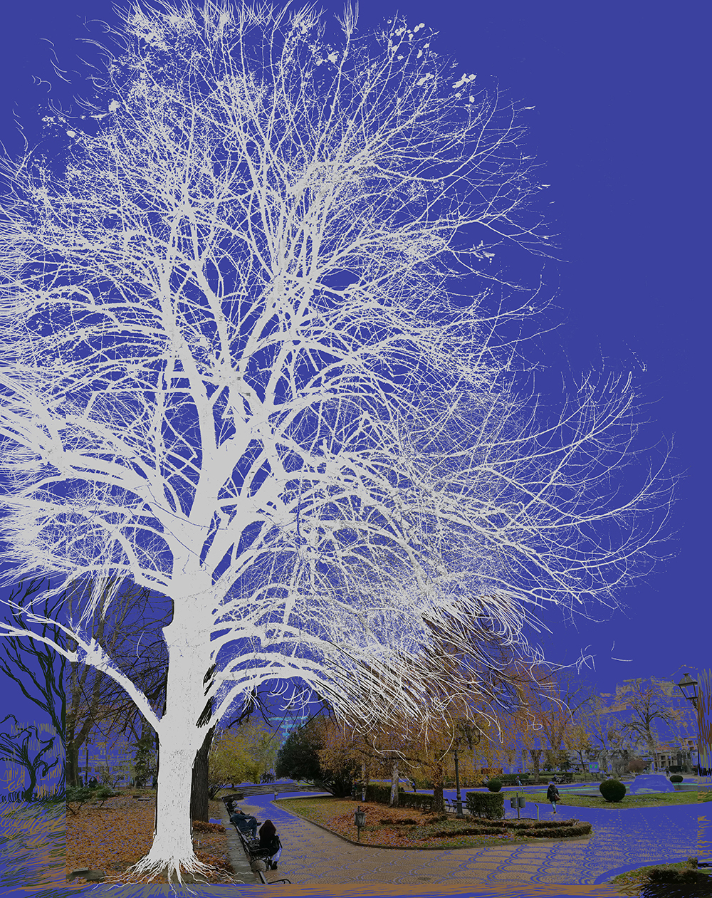Tree Sofia Baths